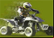 Quad