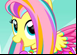 Mon Petit Poney